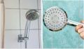 Избавьтесь от известкового налета: простые методы очистки душевой лейки