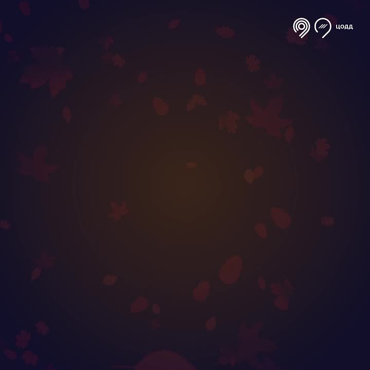 Напоминаем водителям о правилах безопасной езды в осенний период