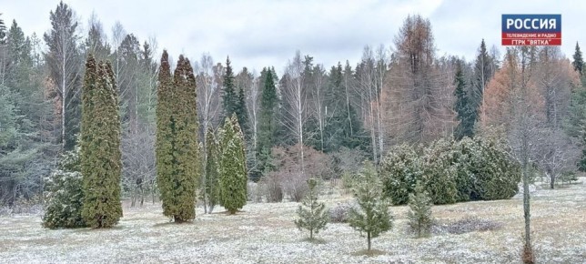  , 9 ,        ,     ,          