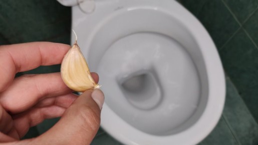 Чеснок в унитазе: неожиданное решение