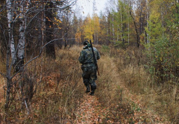 В Кировской области поймали ещё одного браконьера