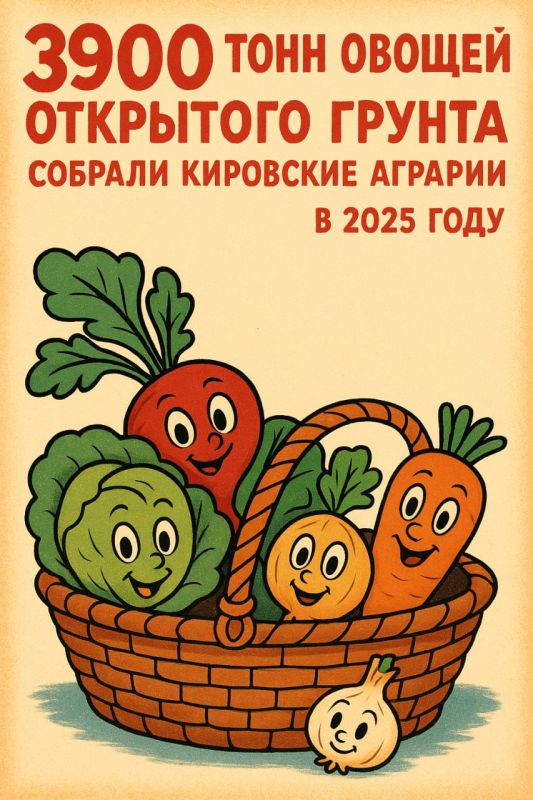 Сельскохозяйственные организации и индивидуальные предприниматели Кировской области завершили сбор урожая овощей открытого грунта