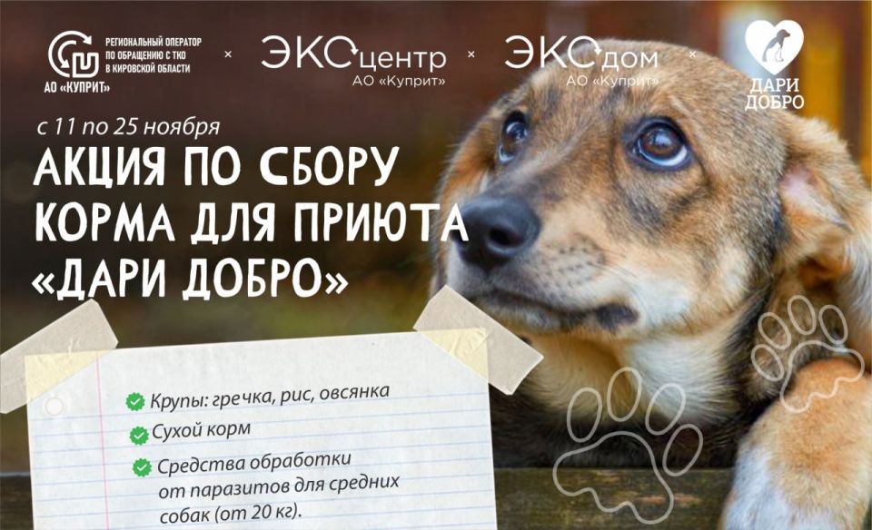 В Кирове установлены специальные контейнеры для помощи животным