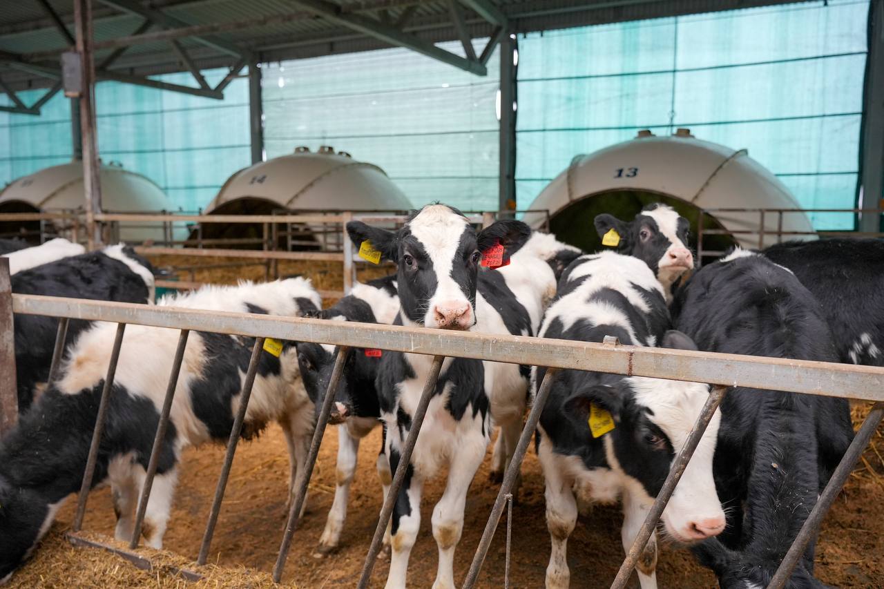 Александр Соколов: Сегодня работаю в Орловском муниципальном округе Александр Соколов: Сегодня работаю в Орловском муниципальном округе