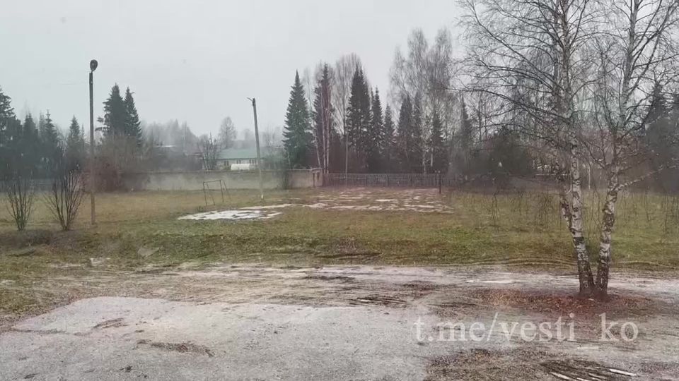 В Сунском районе сейчас идет снег