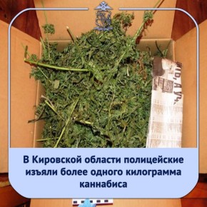 Сотрудники межмуниципального отдела МВД России «Вятскополянский» в результате проведенных оперативных мероприятий пресекли незаконное хранение наркотических средств