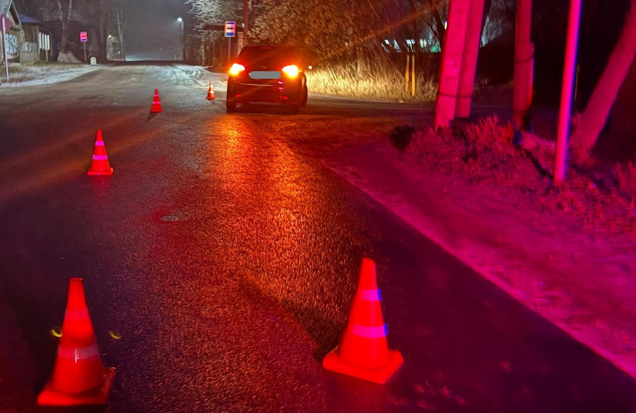 Информация носит предварительный характер