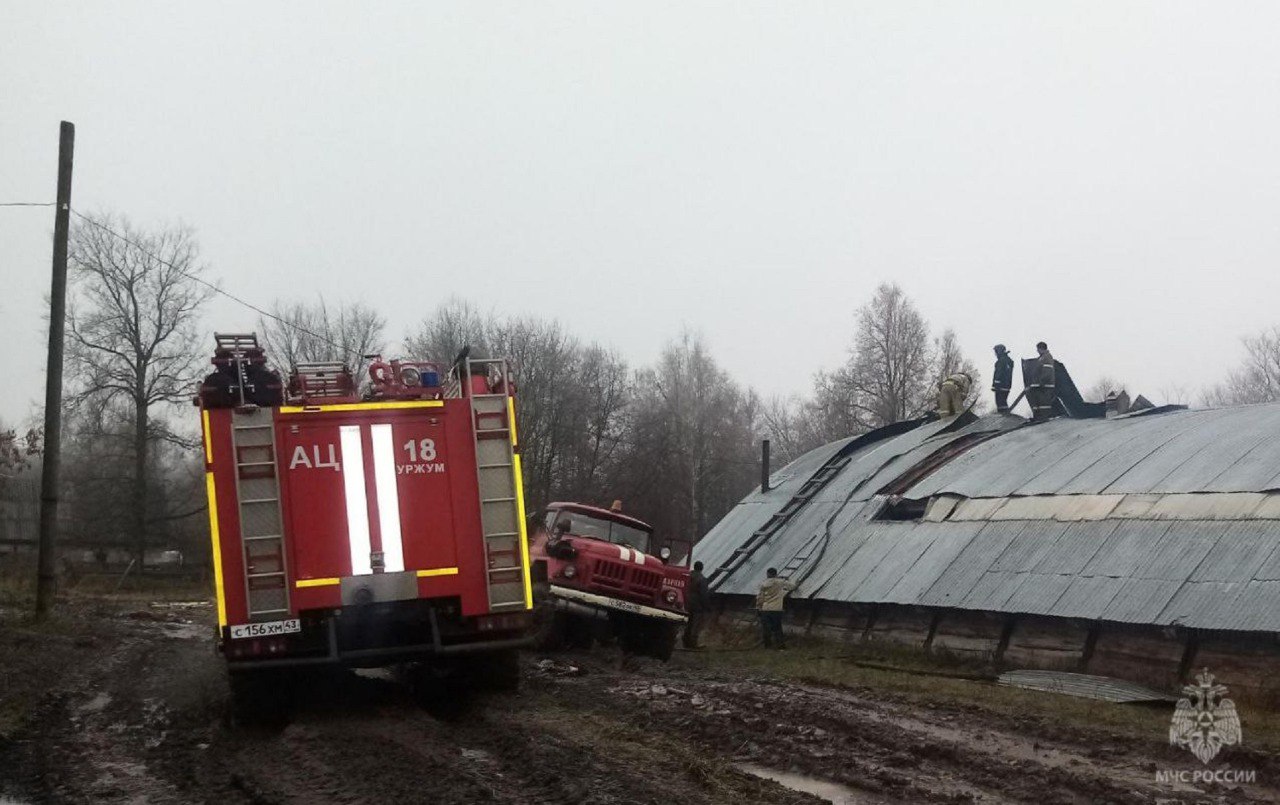 16 коров эвакуировали с территории частной фермы, на которой произошел пожар 16 коров эвакуировали с территории частной фермы, на которой произошел пожар