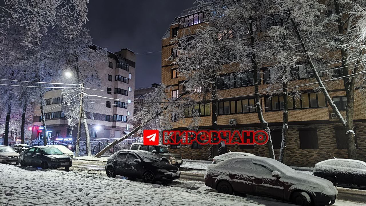 Дерево упало на улице Морозовской (Розы Люксембург)