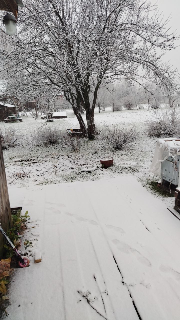 Зима пришла в Свечу.. Сегодня в Кировской области начнут усиливаться осадки. На юге области возможен дождь, а в центральной части — сильные снегопады. Высота снежного покрова может достигнуть 5 сантиметров, сообщают...