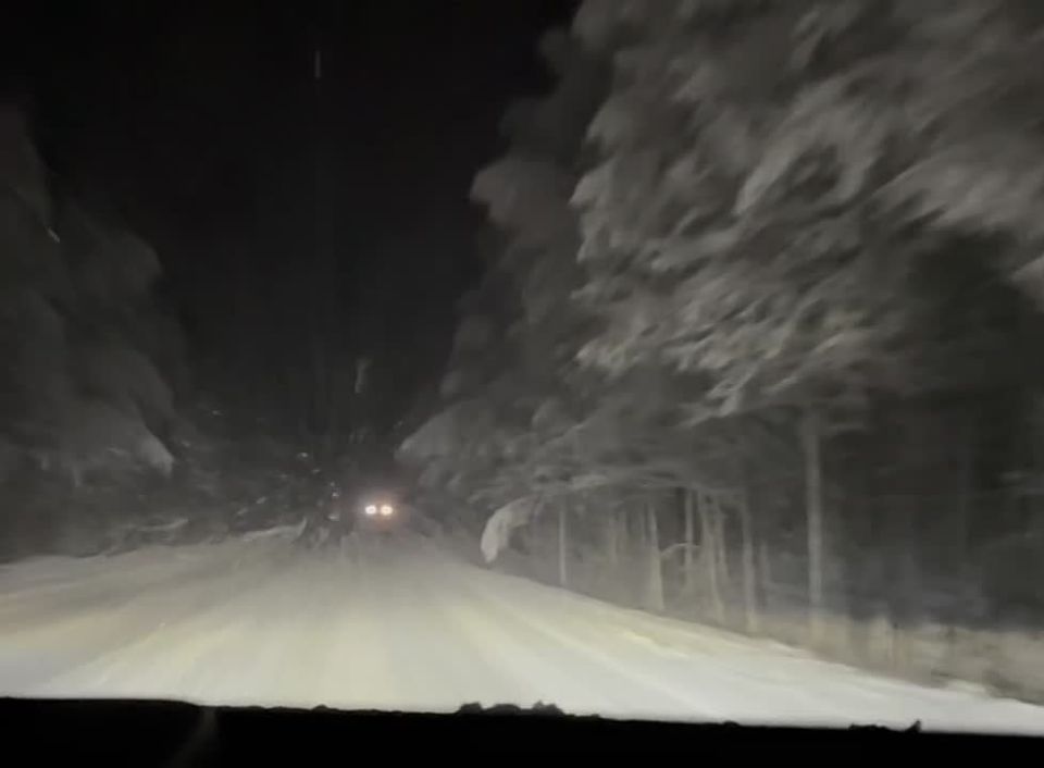 На загородных трассах уже полностью зимний пейзаж