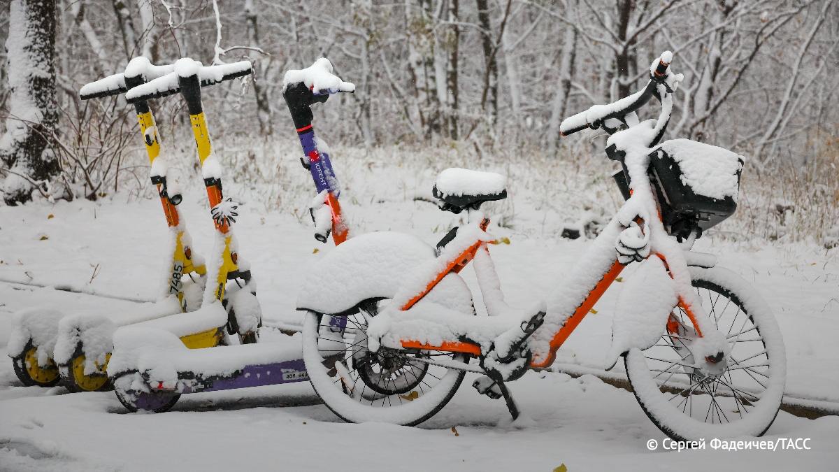 В Новосибирске обустроят велодорожки на восьми улицах города