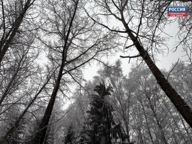 В воскресенье, 16 ноября, в Кировской области ожидается облачно с прояснениями погода, небольшой мокрый снег и гололёд, сообщили в региональном центре по гидрометеорологии и мониторингу окружающей среды