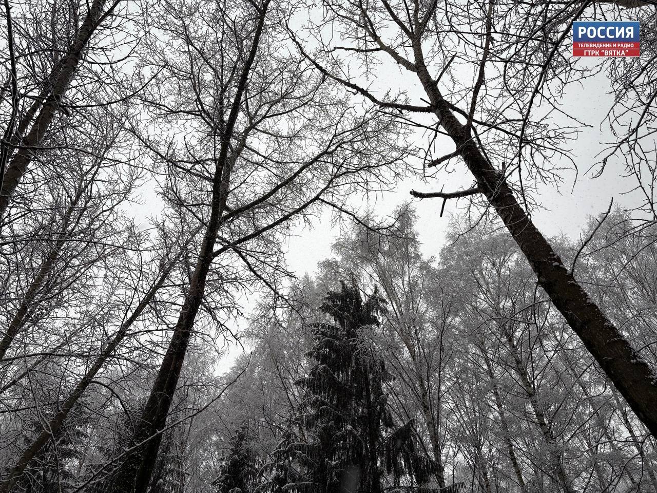 В воскресенье, 16 ноября, в Кировской области ожидается облачно с прояснениями погода, небольшой мокрый снег и гололёд, сообщили в региональном центре по гидрометеорологии и мониторингу окружающей среды