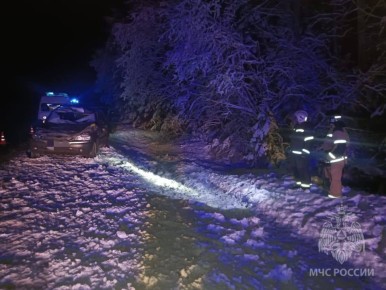 В Сунском районе водитель сбил лося