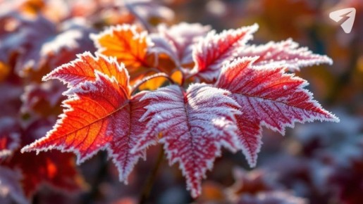 Столбик термометра опустится до -4 °C