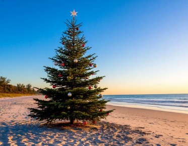 Азия, Африка и Ближний Восток — в лидерах направлений зимнего туризма из России