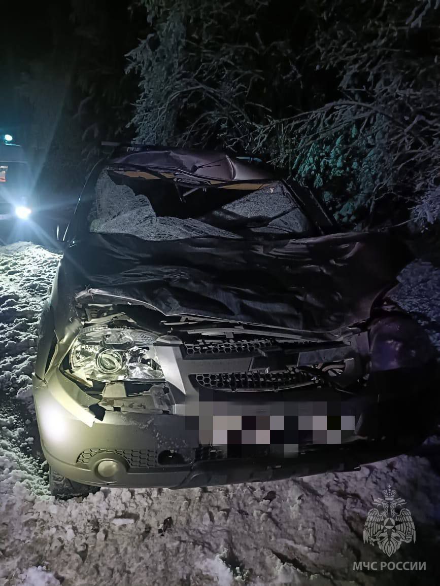 В Сунском районе водитель сбил лося В Сунском районе водитель сбил лося