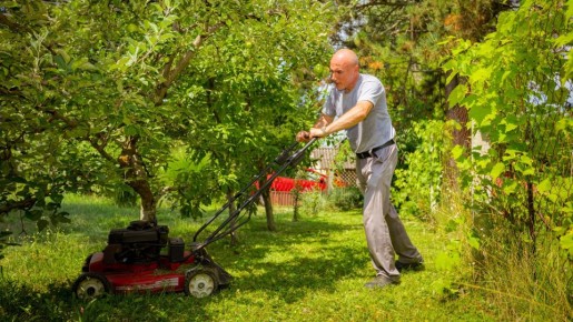 Не только для компоста: вот как еще можно использовать скошенную траву на даче