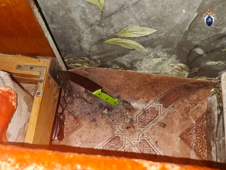 В Оричевском районе женщина обвиняется в убийстве сожителя