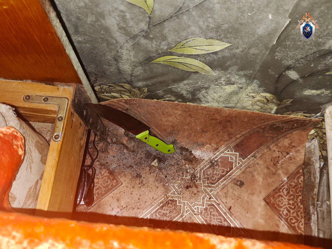 В Оричевском районе женщина обвиняется в убийстве сожителя