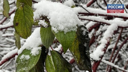 В понедельник, 17 ноября, в Кировской области обещают облачную с прояснениями погоду без существенных осадков, на дорогах местами гололедица