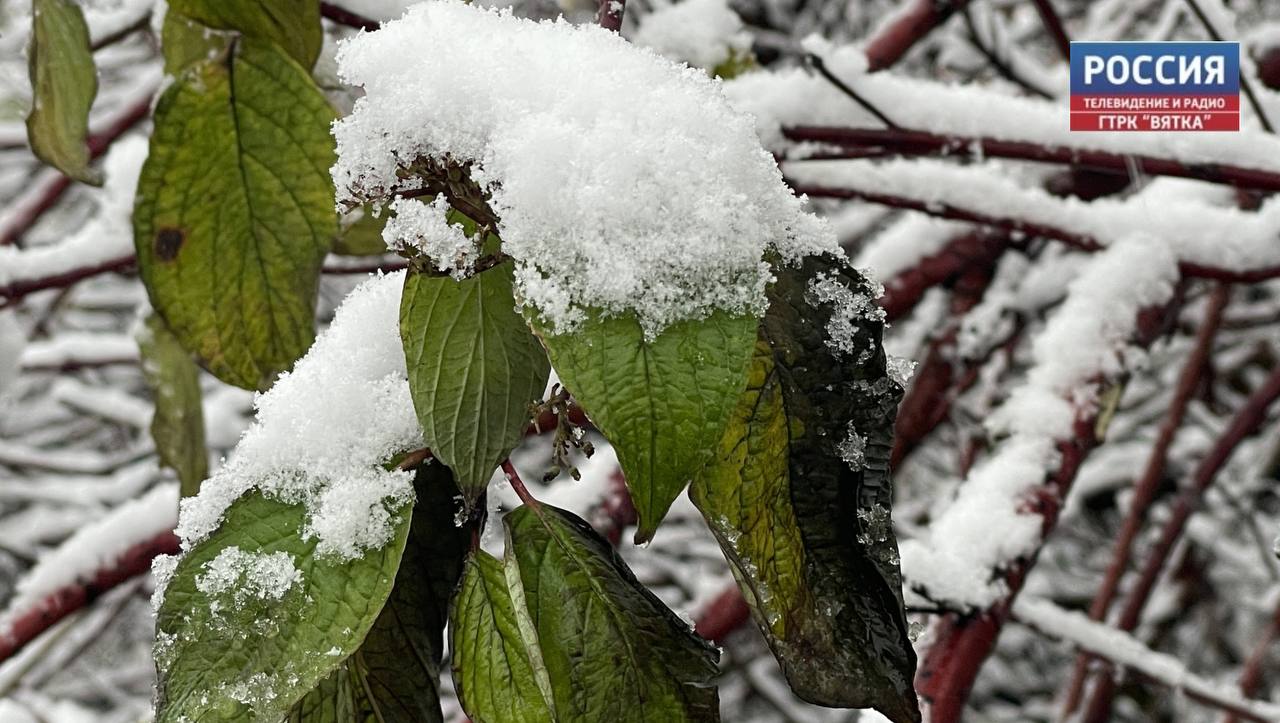 В понедельник, 17 ноября, в Кировской области обещают облачную с прояснениями погоду без существенных осадков, на дорогах местами гололедица
