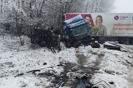 Информация носит предварительный характер