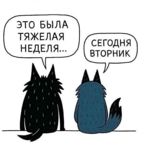 #шуткадня. @Kirov_grad