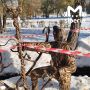 Вандалы украли шляпу "волшебного мальчика" в Новосибирске