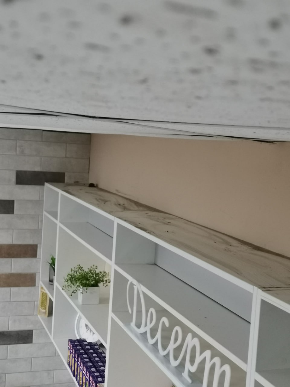 В кировском "Большом гнезде" появились новые пациенты В кировском "Большом гнезде" появились новые пациенты