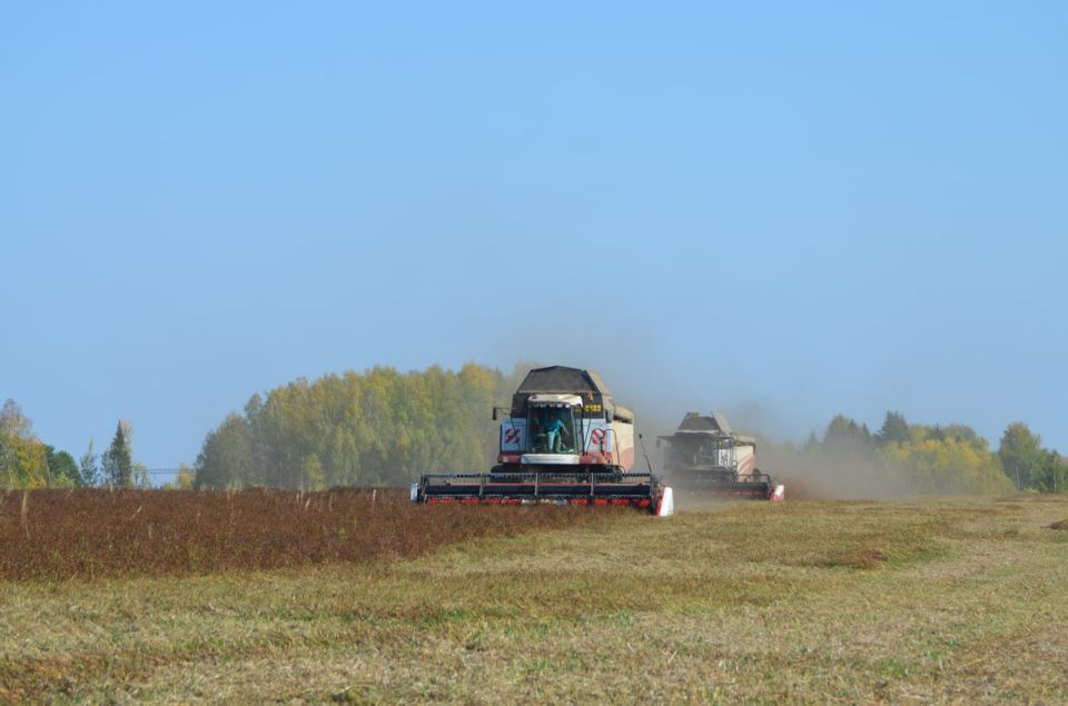 Молодым аграриям Кировской области выделят по миллиону рублей