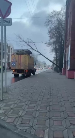 Специалисты отдела зеленого строительства убирают упавшие из-за сильного ветра деревья