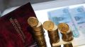 Средняя социальная пенсия в России: что известно в 2025 году