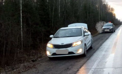   , 19  2025 ,       ,      