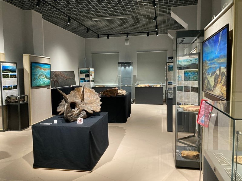 Древние находки из Кировской области представят в Ростове-на-Дону Древние находки из Кировской области представят в Ростове-на-Дону