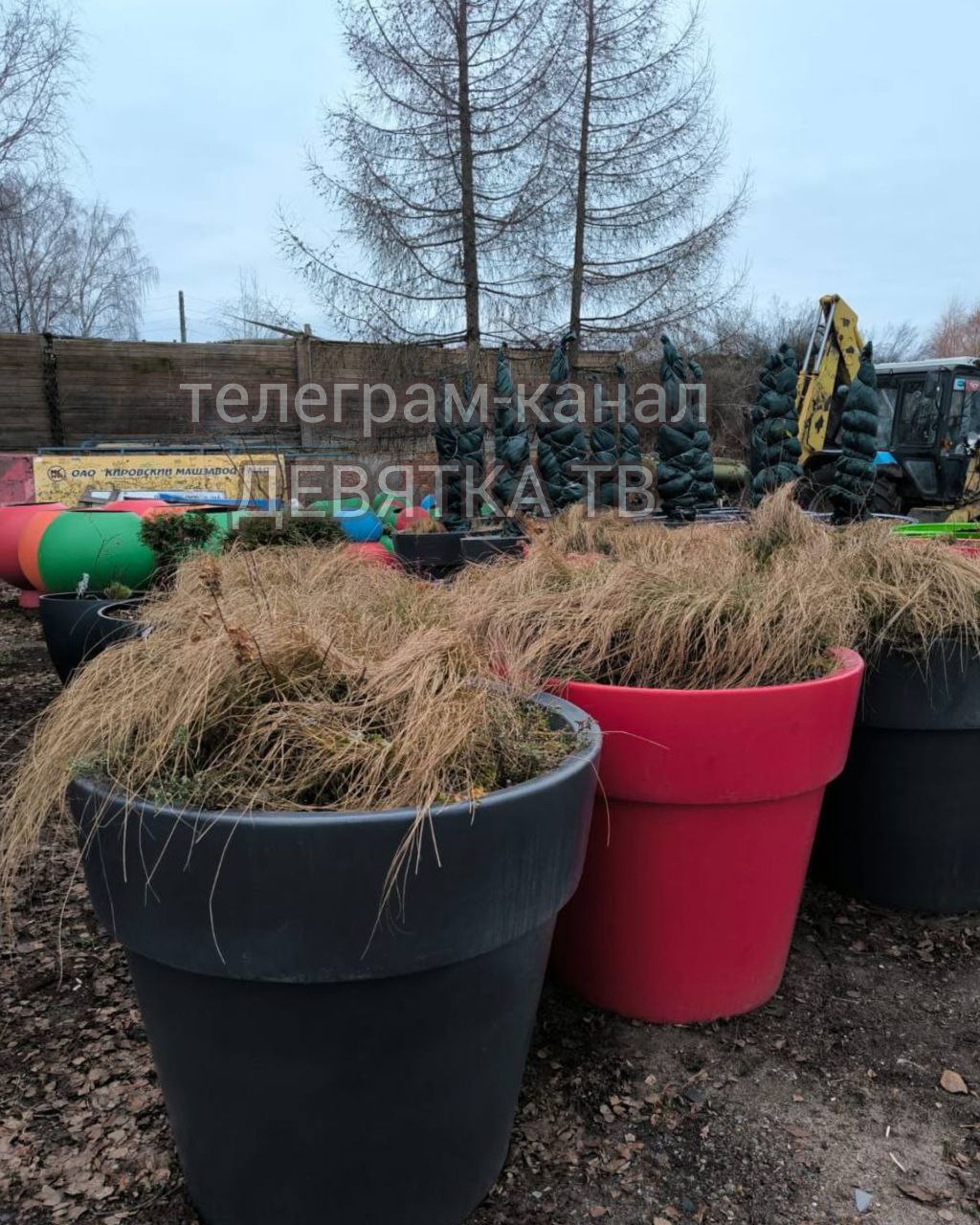 Растения с городских улиц отправили в питомник на зимовку Растения с городских улиц отправили в питомник на зимовку