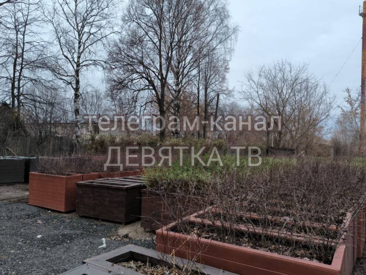 Растения с городских улиц отправили в питомник на зимовку Растения с городских улиц отправили в питомник на зимовку