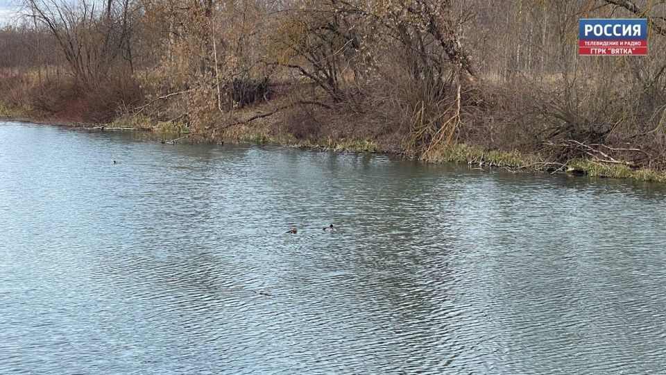 В субботу, 22 ноября, в Кировской области ожидается облачная погода, дождь со снегом преимущественно без осадков