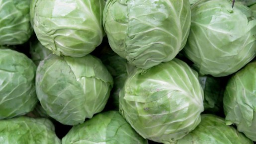 Секреты поздней капусты: лучшие сорта для долгого хранения и вкусных заготовок