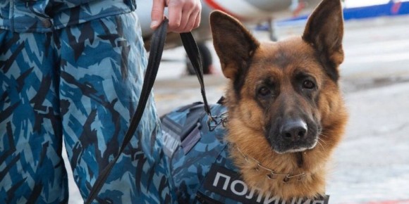 Как устроить незабываемый кулинарный девичник на 8 марта без лишних затрат