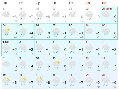 Настоящей зимы в Кирове ждать как минимум неделю
