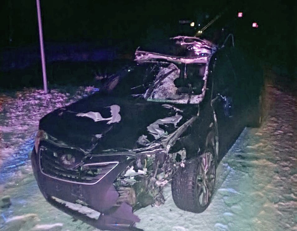 Последствия столкновения с лосем Последствия столкновения с лосем