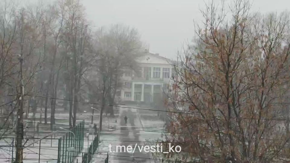 В Кирове сейчас снегопад