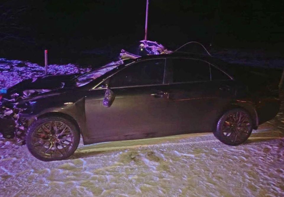 Последствия столкновения с лосем