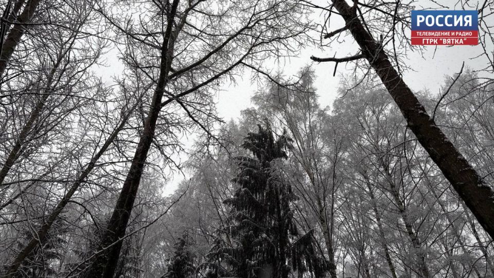 Во вторник в Кировской области будет облачно