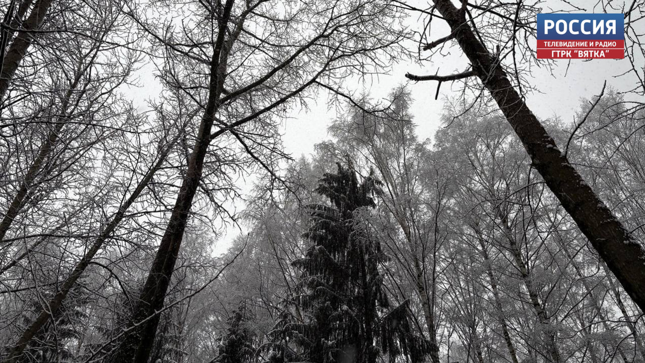 Во вторник в Кировской области будет облачно