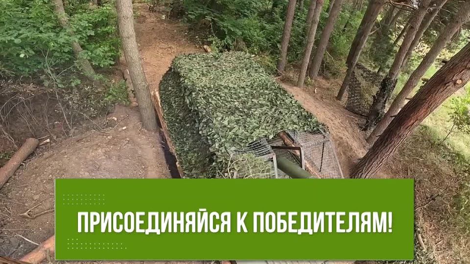 Служба по контракту от Кировской области — это: