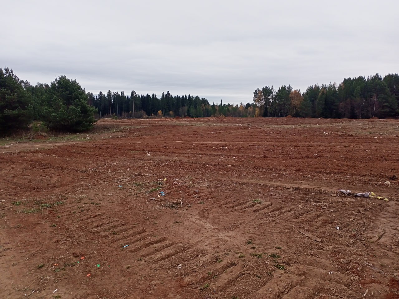 В Кировской области ликвидировали более 20 поселенческих свалок