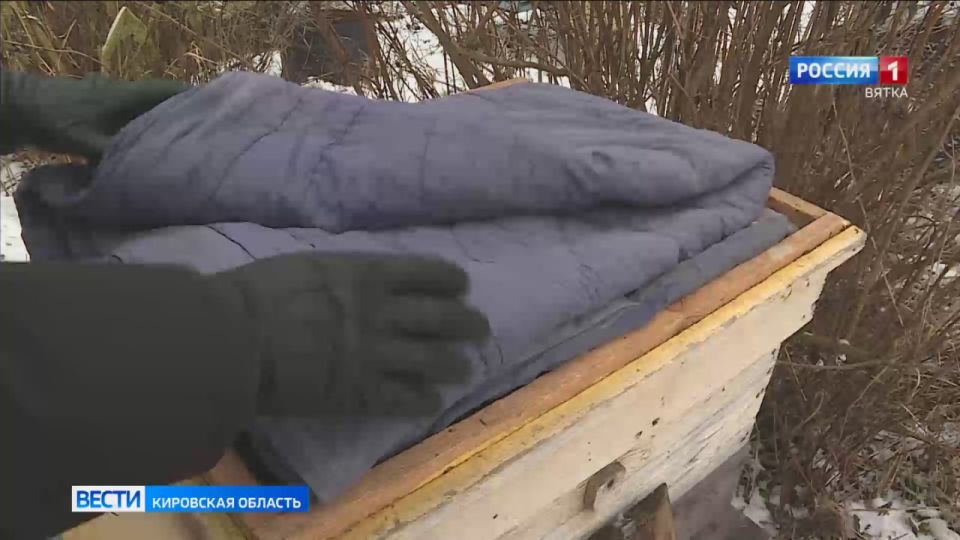 Пока природа постепенно погружается в зимний сон, в пчелиных ульях продолжается скрытая от глаз жизнь